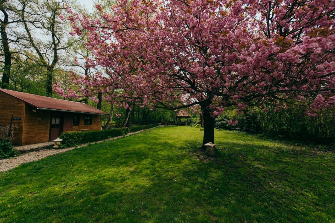 Shubu Zen Vendégház Szilvasvarad Exterior foto