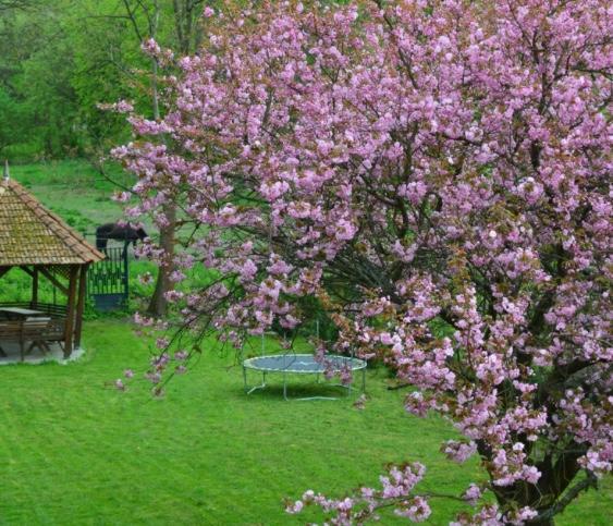 Shubu Zen Vendégház Szilvasvarad Exterior foto